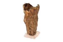 24395-SPL VAZO 17x39cm - 3