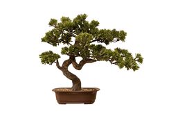 ÇAM BONSAİ YAPAY AĞAÇ 42 CM ( TH106042 ) - 2