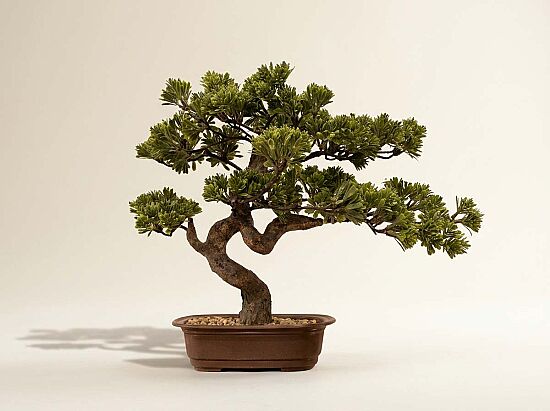 ÇAM BONSAİ YAPAY AĞAÇ 42 CM ( TH106042 ) - 1