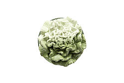 CARNA KOKU ŞİŞESİ 140 CC YEŞİL 7X14 CM - 2