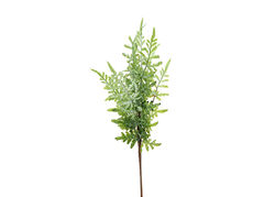 CH01013504 BITKI (24) - 2