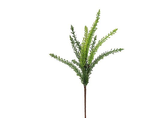 CH01013508 YESIL BITKI(24) - 2