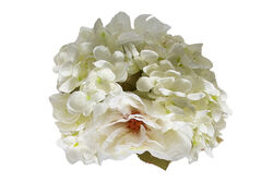 CH01421593 GUL&ORTANCA BUKETI BEYAZ 29cm - 2