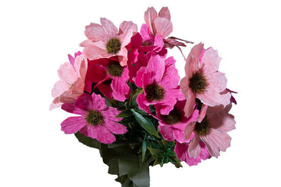 CH01525542 PAPATYA BUKETI PEMBE 30cm - 2