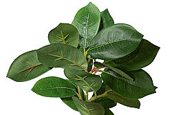 CH03914043 YESIL BITKI DALI 37cm - 3