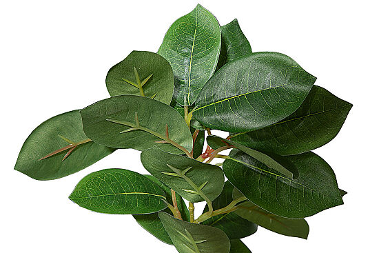 CH03914043 YESIL BITKI DALI 37cm - 3