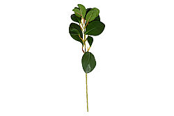 CH03923150 BITKI DALI 37cm - 2