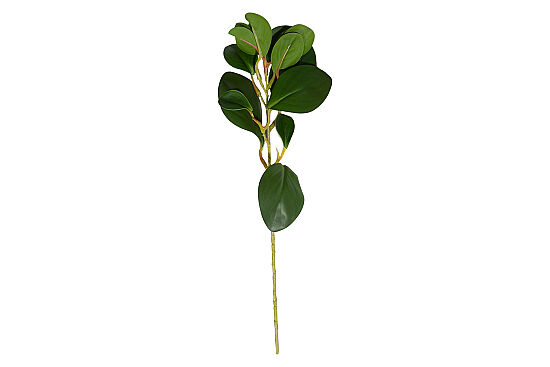 CH03923150 BITKI DALI 37cm - 2
