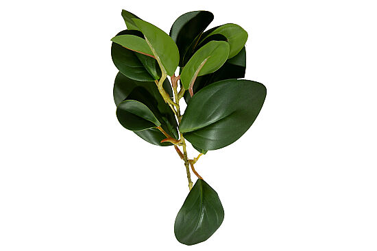 CH03923150 BITKI DALI 37cm - 3