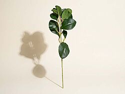 CH03923150 BITKI DALI 37cm - KERVAN