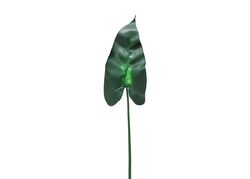 CH07712371 ZAMBAK YAPRAGI 120cm (12) - 2