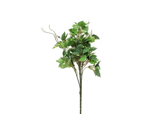 CH10611929 SARMASIK 30cm (24) - 2