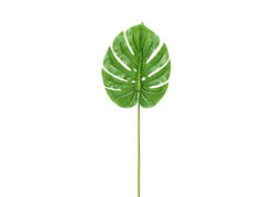 CH10811741 YESIL BITKI 105cm (24) - 2