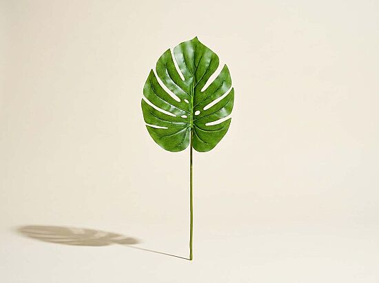 CH10811741 YESIL BITKI 105cm (24) - 1