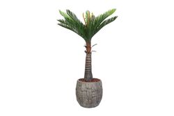 CYCAS PALMIYE YAPAY AGAC KÜÇÜK 120cm (759TUF000014) - 4