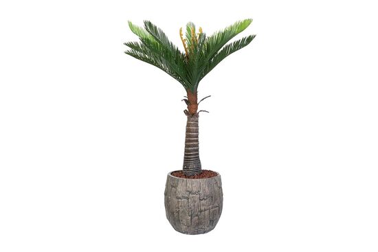 CYCAS PALMIYE YAPAY AGAC KÜÇÜK 120cm (759TUF000014) - 4