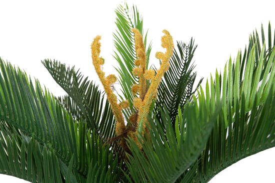 CYCAS PALMIYE YAPAY AGAC KÜÇÜK 120cm (759TUF000014) - 2