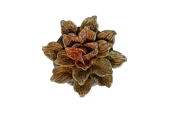 DEKORATİF AKSESUAR 15.5X15.5X5 CM ZY24040C-1171 - 4