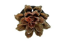 DEKORATİF AKSESUAR 15.5X15.5X5 CM ZY24040C-1171 - 3