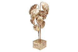 DEVE TABANI LAMBADER 150cm - 2