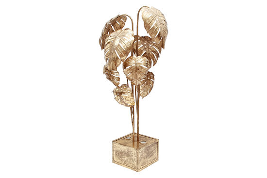 DEVE TABANI LAMBADER 150cm - 2