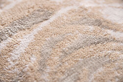 ELLOY PASPAS EKRU-BEJ-SİLVER 40x60cm - 3