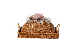 FLORAL KAPAKLI DİKD. TEPSİ (S) 22X31 CM (SPT-279) - 4