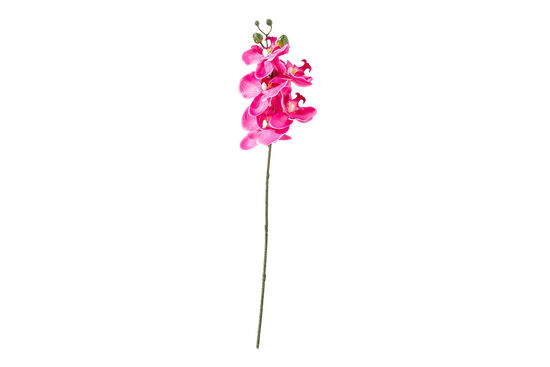ORKIDE PEMBE (HA3HS19001JFS3) 53cm - 1