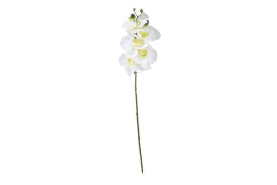 ORKIDE BEYAZ (HA3HS19001JWH2) 52cm - 1