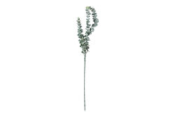 HA4HG1801382GN OKALİPTUS ÇALI YEŞİL 76cm - SWEET FLOWERS