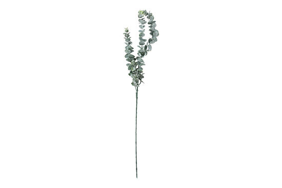 HA4HG1801382GN OKALİPTUS ÇALI YEŞİL 76cm - 1