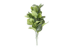 SARMAŞIK (HA4LH1035207GN) 66cm - SWEET FLOWERS