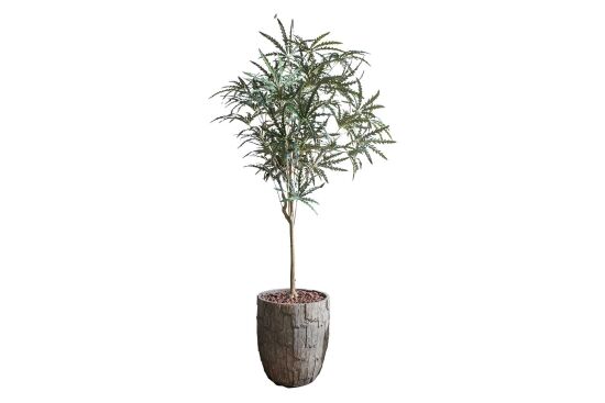 HA4LY208150A HACKBERRY YEŞİL 180 CM (759TUF000005) - 2