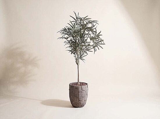 HA4LY208150A HACKBERRY YEŞİL 180 CM (759TUF000005) - 1