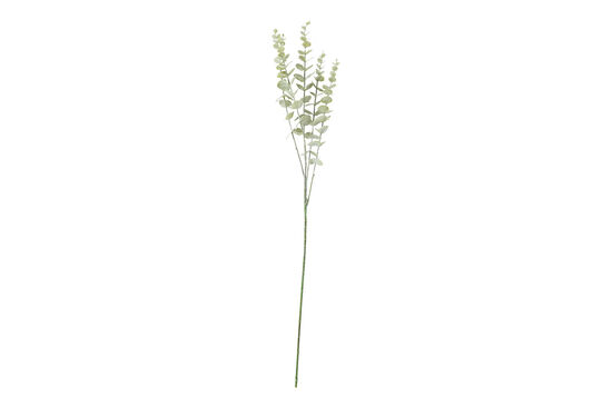HA4LY542GN816 OKALİPTUS ÇALI YEŞİL 77cm - 1