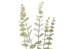 HA4LY542GN816 OKALİPTUS ÇALI YEŞİL 77cm - 2