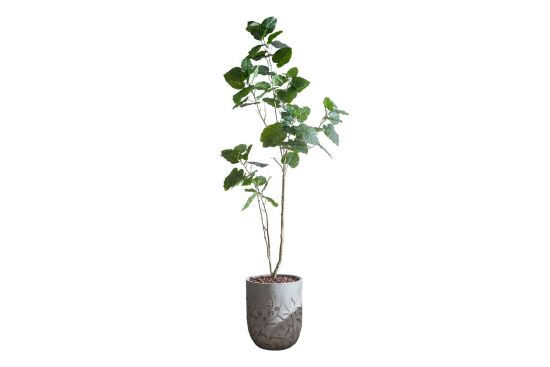 HA4SB23B12GNA FİKU YEŞİL 240 CM (759TUF000110) - 2
