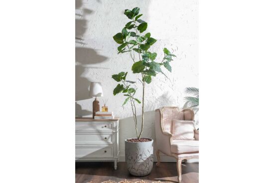 HA4SB23B12GNA FİKU YEŞİL 240 CM (759TUF000110) - 3