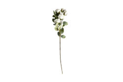 HA5LN24005WH LOUIS XIV GÜL DALI BEYAZ 66 CM - HSH-KRVN ORTAK
