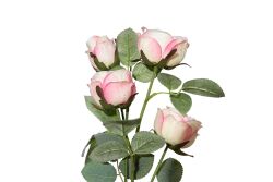 HA5LN24005WH1 LOUIS XIV GÜL DALI PEMBE 66 CM - 2