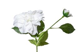 HA5SJHY231013DL12 YAPAY DAHLIA ÇİÇEĞİ BEYAZ 62 CM - 2