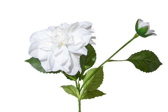 HA5SJHY231013DL12 YAPAY DAHLIA ÇİÇEĞİ BEYAZ 62 CM - 2