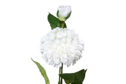 HA5SJHY231016WH4 YAPAY ŞAKAYIK SAPI BEYAZ 54 CM - 2