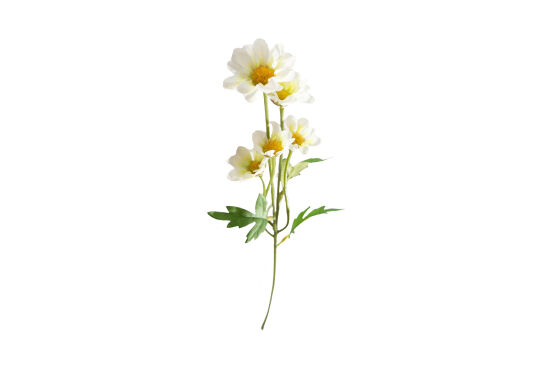 HA5XYD1146WH1 PAPATYA DALI 5 ÇİÇEKLİ BEYAZ 48 CM - 2