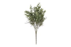 HD10227 BUKET ÇİÇEK R181-YEŞİL 60 CM - 3