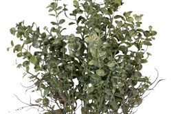 HD10227 BUKET ÇİÇEK R181-YEŞİL 60 CM - 2