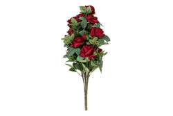 HD9252 GÜL BUKETİ KIRMIZI 66cm - 3