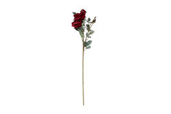 HD9425 GÜL BUKETİ KIRMIZI 66cm - 3