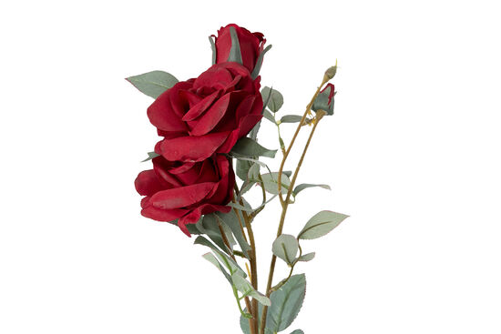 HD9425 GÜL BUKETİ KIRMIZI 66cm - 2