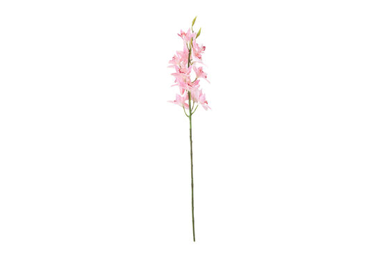 HD9461 BİTKİ PEMBE 77cm - 3